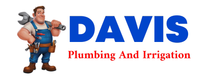 Trusted plumber in AURELIA